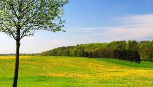 丹麥：童話無(wú)處不在的國(guó)度圖片