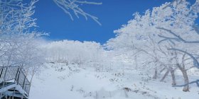 樂(lè)享北海道小樽函館富良野賞花5晚6日